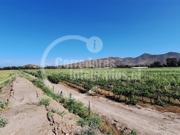 Imagen 20