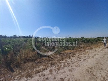 Imagen 9