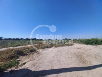 Imagen 7