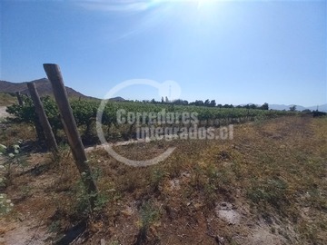 Imagen 15