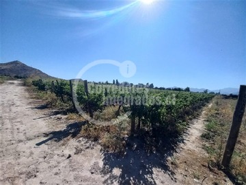 Imagen 14