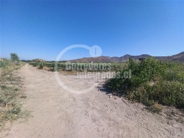 Imagen 12