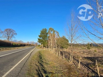 Imagen 6