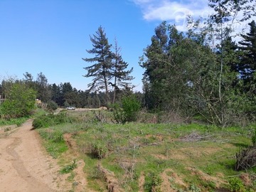 Venta / Terreno Industrial / Viña del Mar