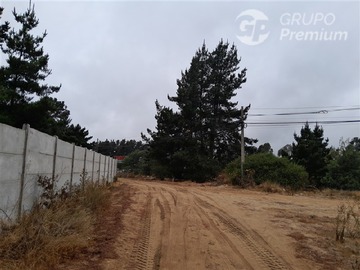 Imagen 7