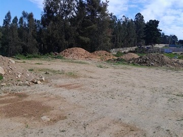 Imagen 5