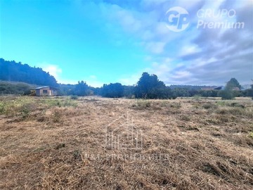 Imagen 8