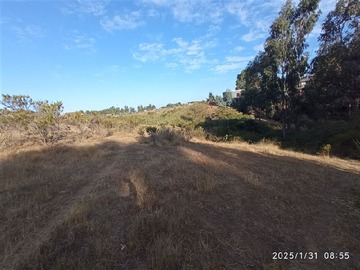 Venta / Terreno / Algarrobo