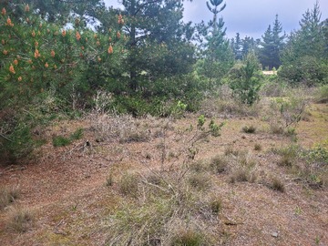 Imagen 13