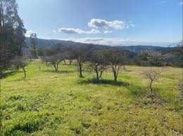 Venta / Terreno / Algarrobo