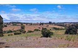 Venta / Terreno / Algarrobo