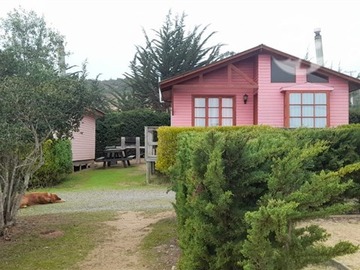 Imagen 3