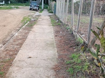 Venta / Terreno / Algarrobo