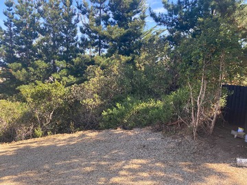 Venta / Terreno / Algarrobo