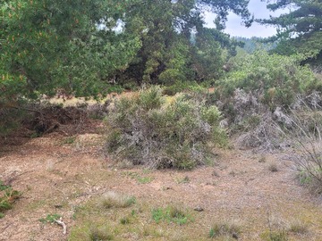 Imagen 6