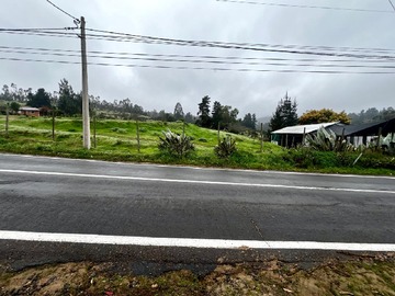 Imagen 8