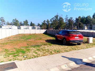 Venta / Terreno / Algarrobo