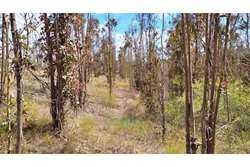 Venta / Terreno / Algarrobo