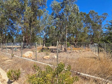 Venta / Terreno / Algarrobo