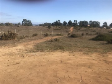 Venta / Terreno / Algarrobo