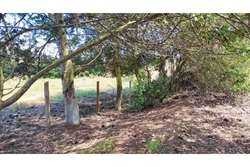 Venta / Terreno / Algarrobo