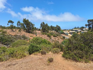 Venta / Terreno / Algarrobo