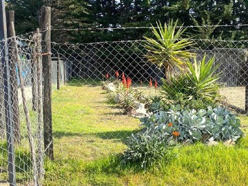 Imagen 8