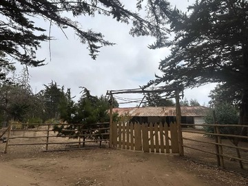 Venta / Terreno / Algarrobo