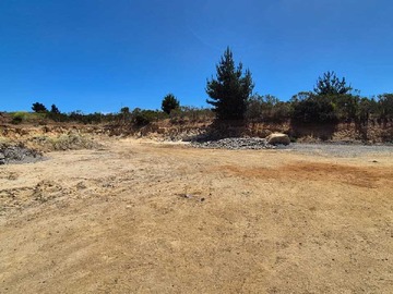Venta / Terreno / Algarrobo