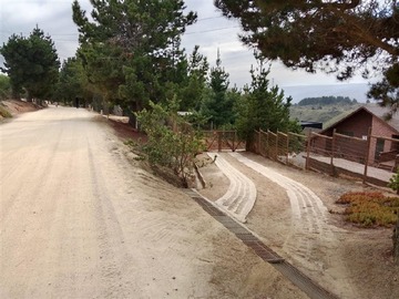 Venta / Terreno / Algarrobo