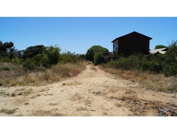 Venta / Terreno / Algarrobo