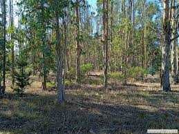Venta / Terreno / Algarrobo