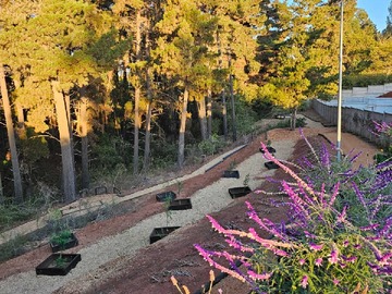 Venta / Terreno / Algarrobo