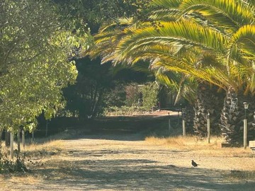 Venta / Terreno / Algarrobo