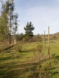 Venta / Terreno / Algarrobo
