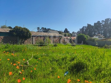 Venta / Terreno / Algarrobo