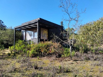 Venta / Terreno / Algarrobo