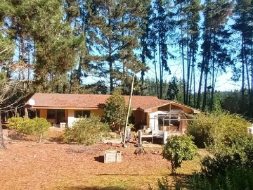 Venta / Terreno / Algarrobo