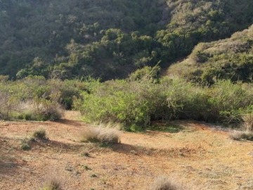 Imagen 6