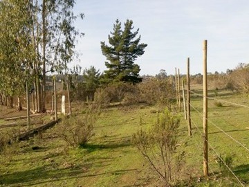 Imagen 4