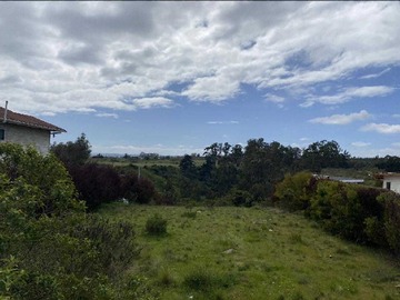 Venta / Terreno / Algarrobo