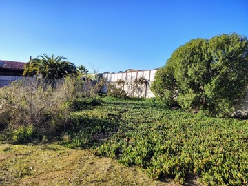 Venta / Terreno / Algarrobo