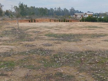 Venta / Terreno / Algarrobo