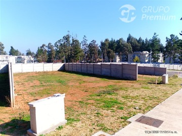 Venta / Terreno / Algarrobo
