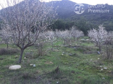 Imagen 11