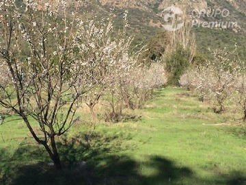 Imagen 13
