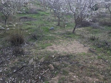 Imagen 12