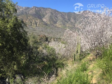Venta / Terreno / Alhué