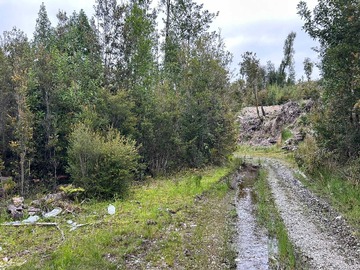 Venta / Terreno / Ancud