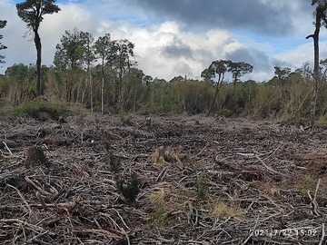 Venta / Terreno / Ancud